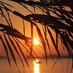 Bardis Sun Hotel apartamentowy Arillas (Corfu)